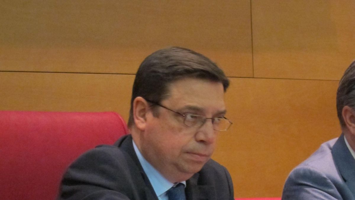 Luis Planas ha anunciado que se presenta a las primarias del PSOE-A