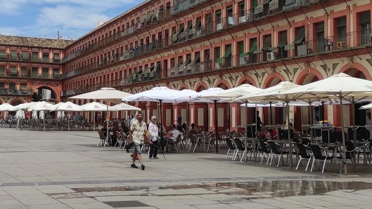 El CMC reclama que la Policía Local actúe ante veladores que no cumplan la norma