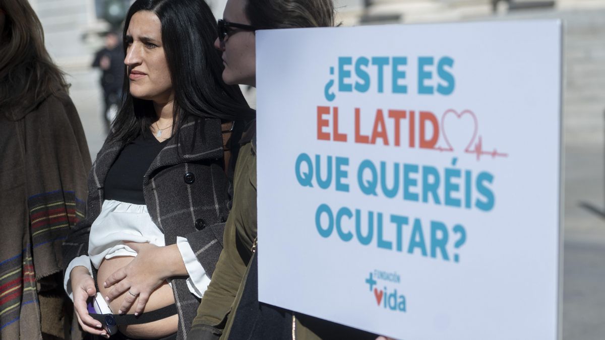 La Fundación +Vida se concentra frente al Congreso contra la reforma de la ley del aborto en febrero de 2023.