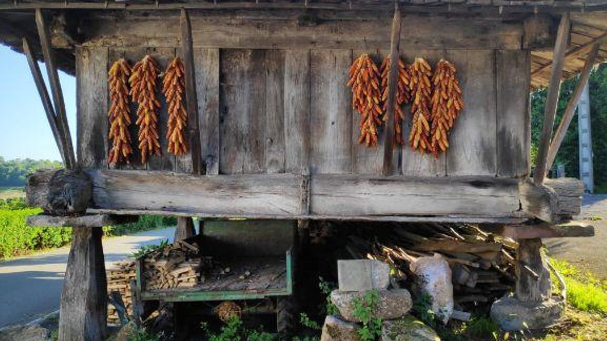 Más de un centenar de hórreos y paneras podrán ser restaurados con ayudas autonómicas en 41 concejos de Asturias