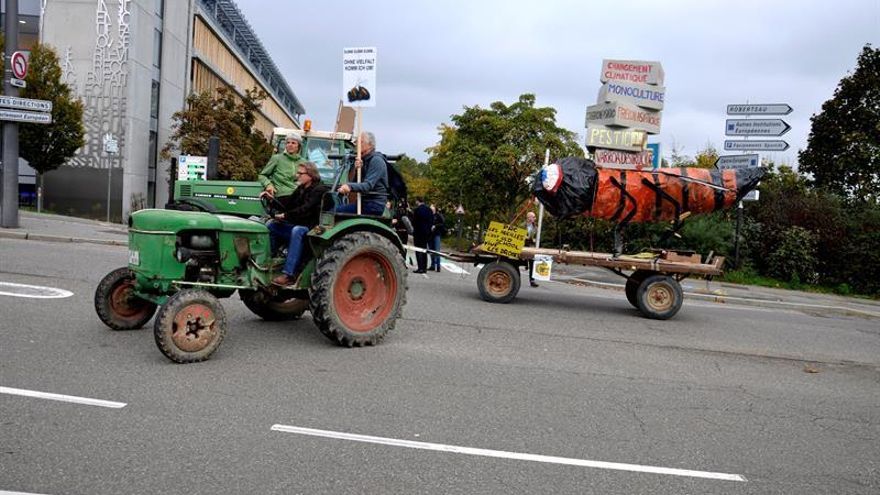 Varios agricultores concentrados ante la sede del Parlamento Europeo.