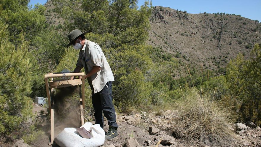 Campaña arqueológica de 2022 en el municipio de Elche de la Sierra