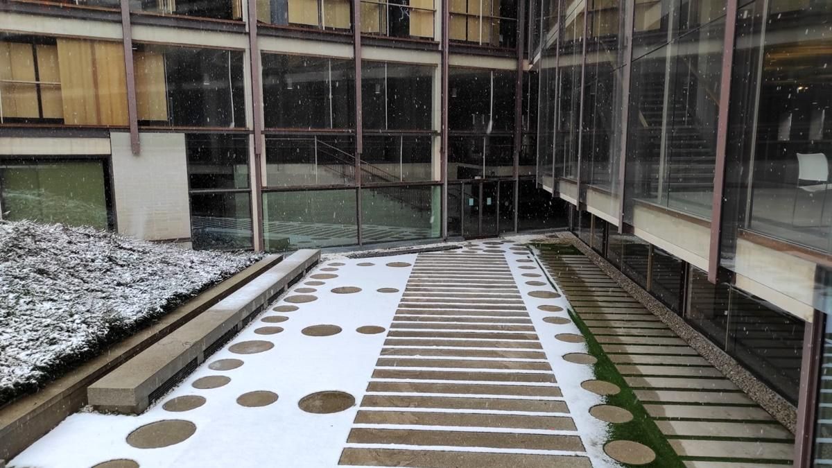 Jard�n del COAM.jpg