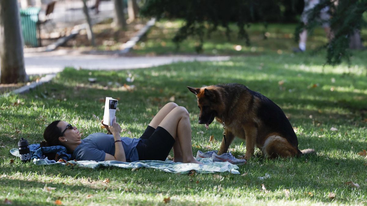 La Comunidad de Madrid arranca la semana con máximas por encima de los 32 grados
