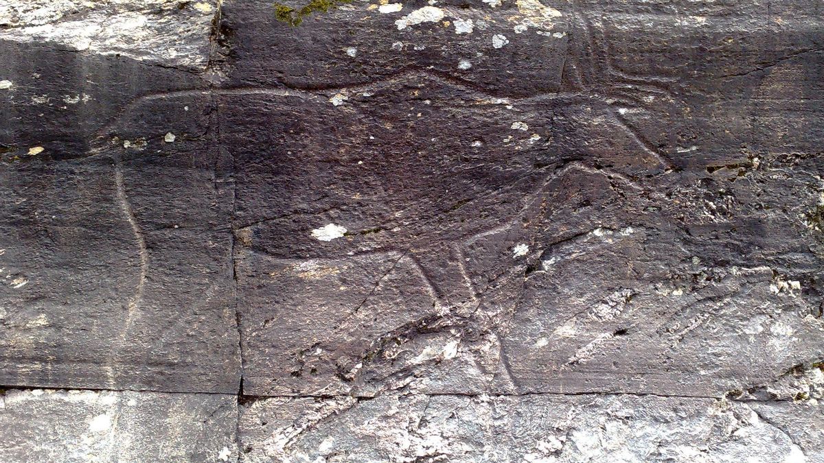 Reno en la estación de grabados rupestres de Bardal.