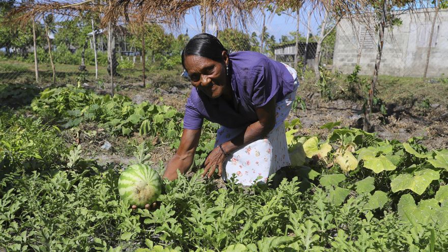 Parlamento de Honduras aprueba tres préstamos por 190 millones de dólares con el CAF