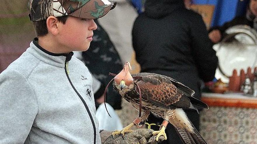 Peio García / ICAL La Virgen del Camino acoge las Jornadas Internacionales de Cetrería del Norte de España