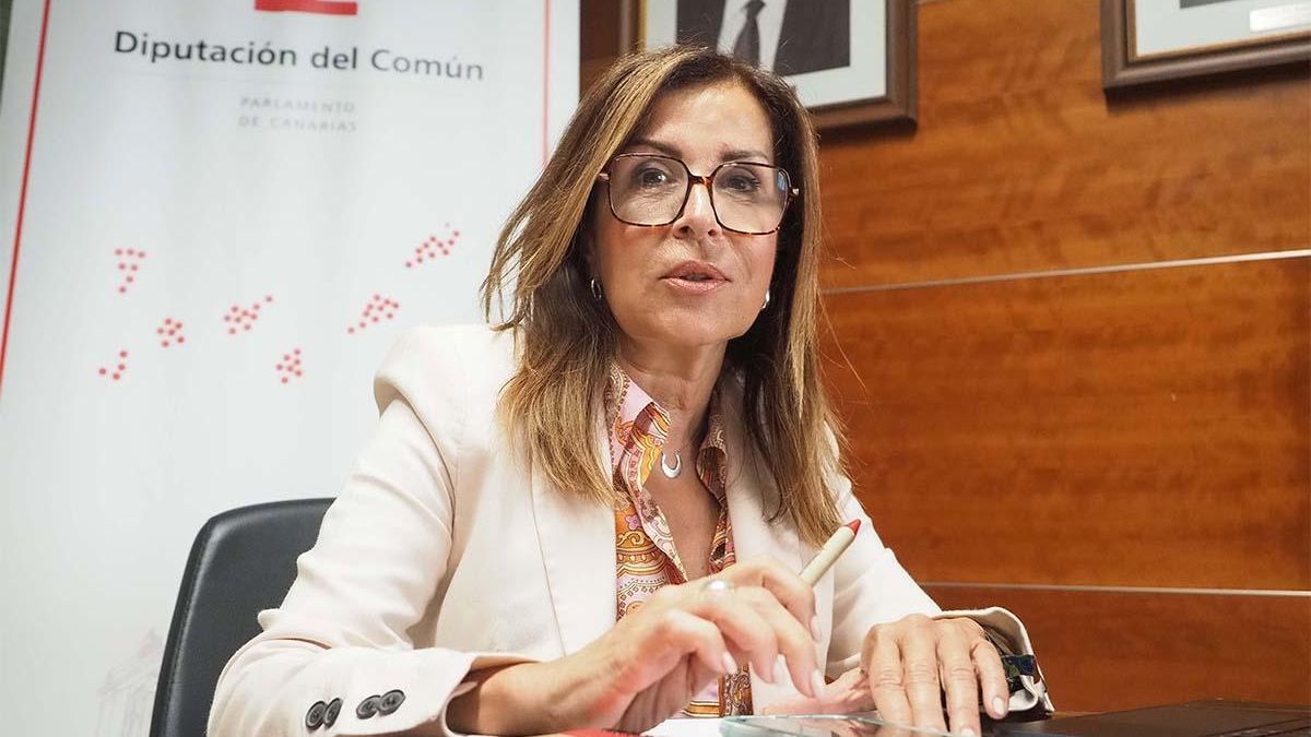 La Diputación del Común exige “prevención efectiva y unidad” en los mensajes frente a la violencia vicaria