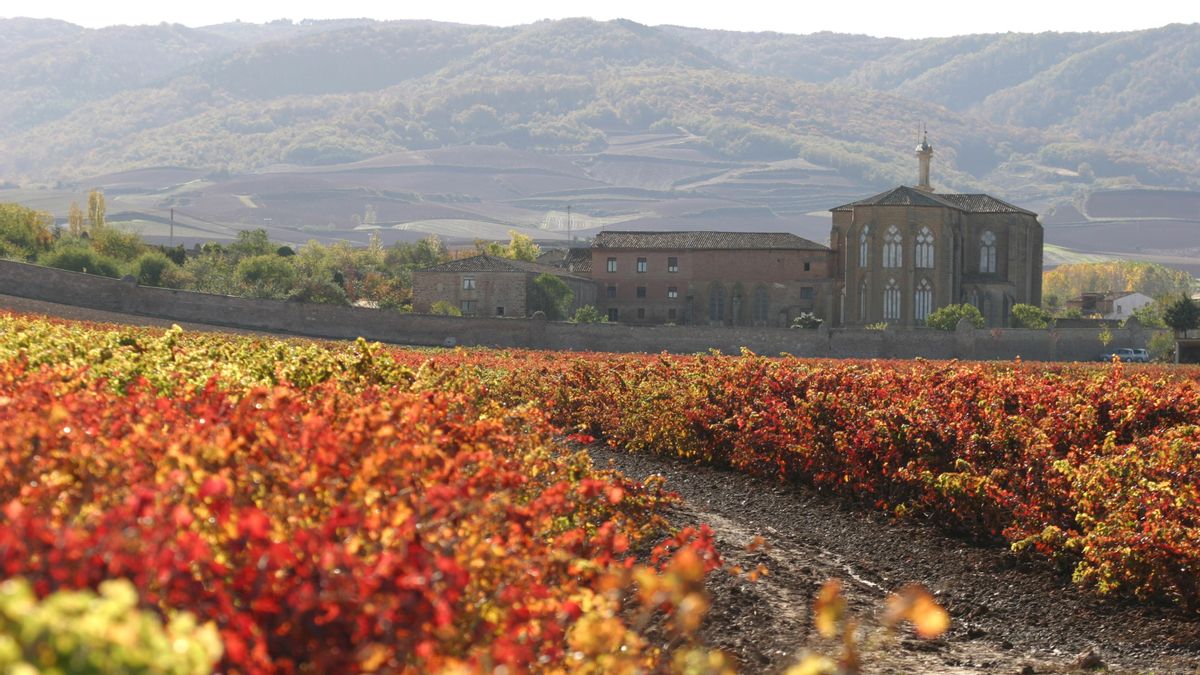 La paleta de colores del otoño en La Rioja: de los rojizos del viñedo a los ocres del antiguo Mansilla emergido