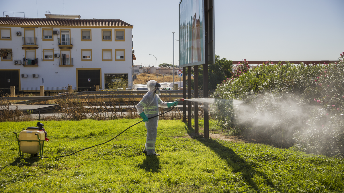 Archivo - Un trabajador durante las labores de fumigación contra los mosquitos causantes del virus del Nilo en Coria del Río