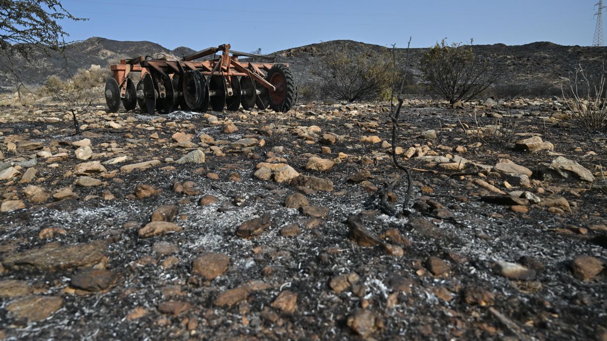 Última hora del incendio de Los Gallardos, en Almería: el fuego arrasa ya 6.600 hectáreas