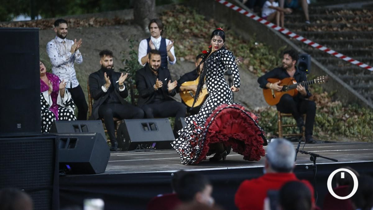 Espectáculo 'Sueño Gitano'