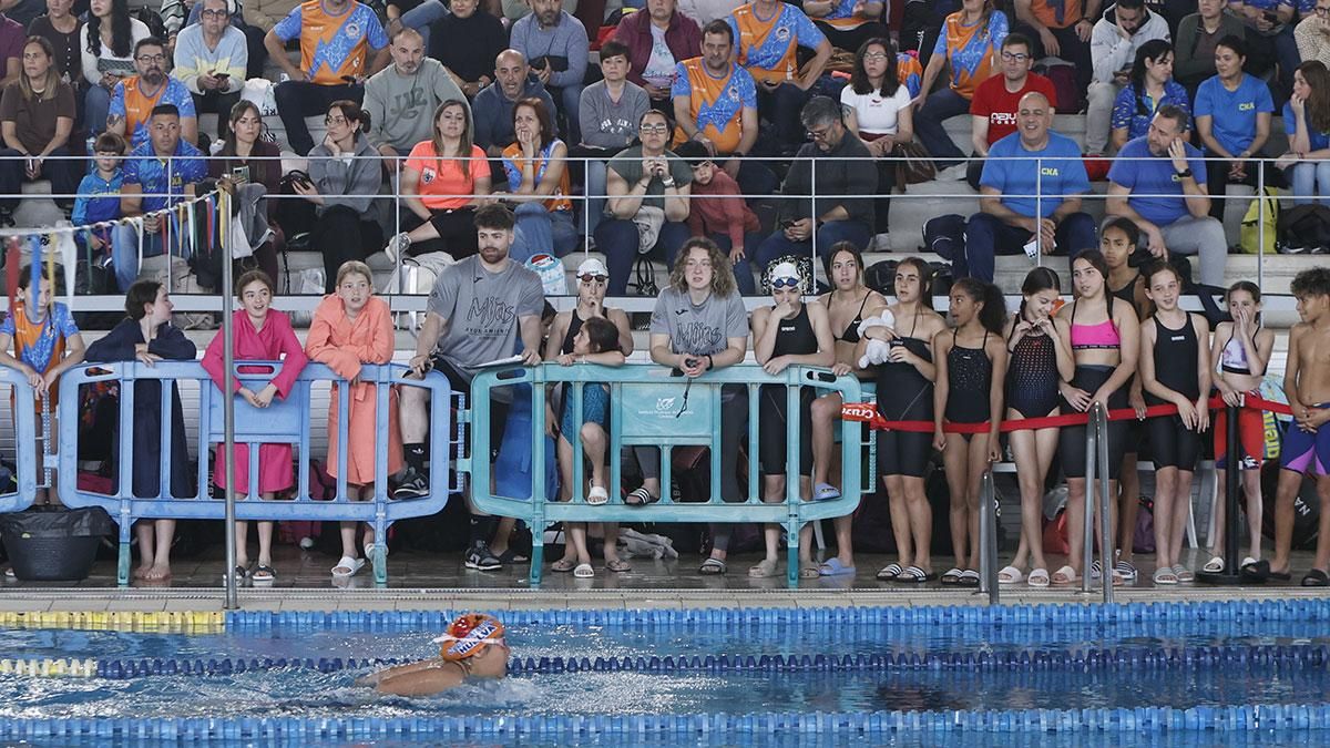 XV Trofeo Ciudad de Córdoba de Natación