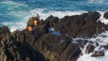 Percebeiros en Donón (Cangas do Morrazo, Pontevedra)