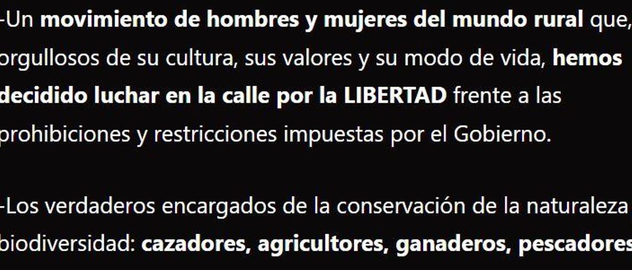Parte del manifiesto de convocatoria del 20M, colgado en noviembre de 2021.