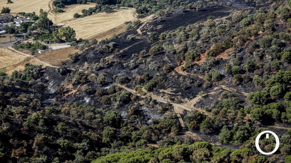 Estado de la sierra tras el incendio