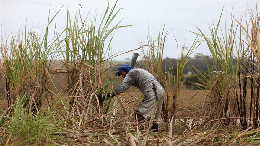 En Centroamérica es común la movilidad de los trabajadores de los distintos países para laborar en las zafras azucarera, de plátanos y banano, así como de café.