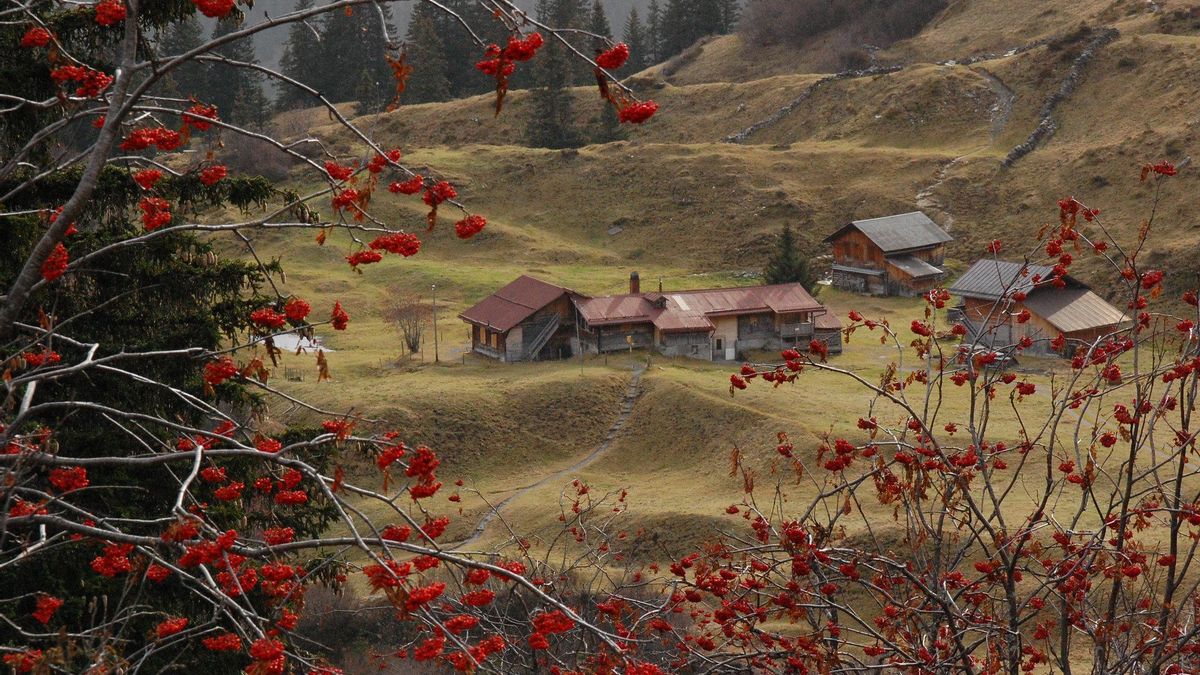 Prados en los alrededores de Mürren.