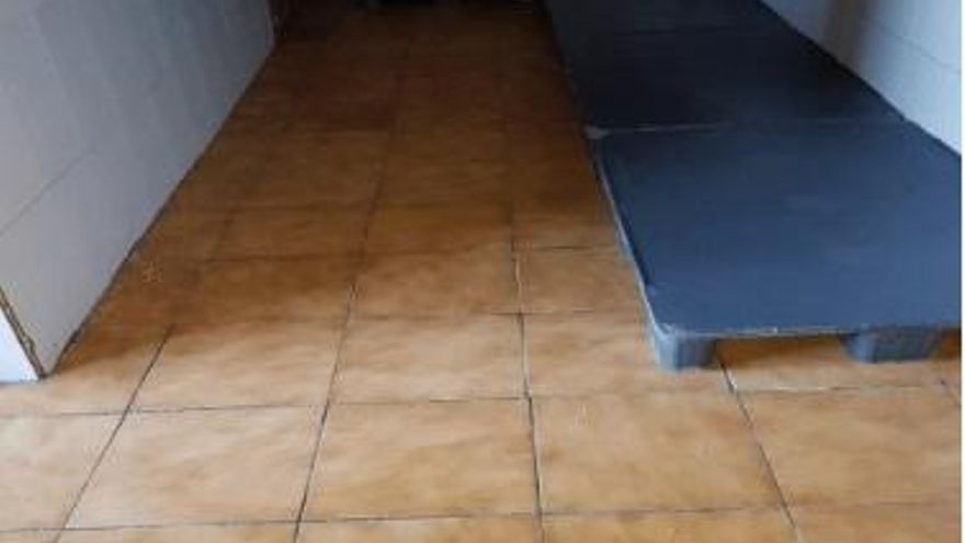 Colocación de suelo antideslizante en la zona de la vejez (finca hembras).