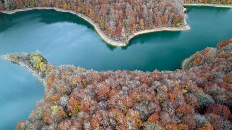 Una ruta circular en el corazón de Irati: la caminata sencilla que recorre el bosque mágico de hayas milenarias
