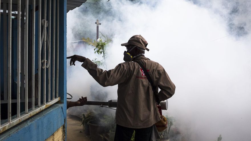 Venezuela ejecuta un plan nacional de vacunación y fumigación para prevenir el dengue