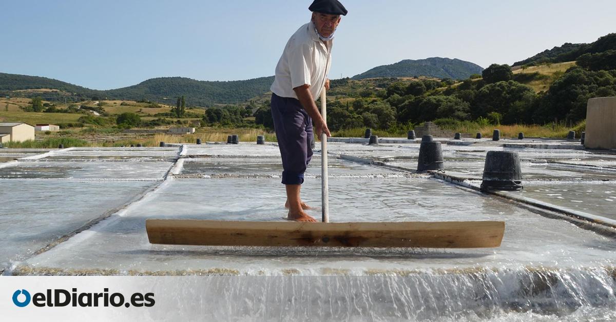 Oro blanco sobre tierra mojada: un recorrido por las salinas de interior de España