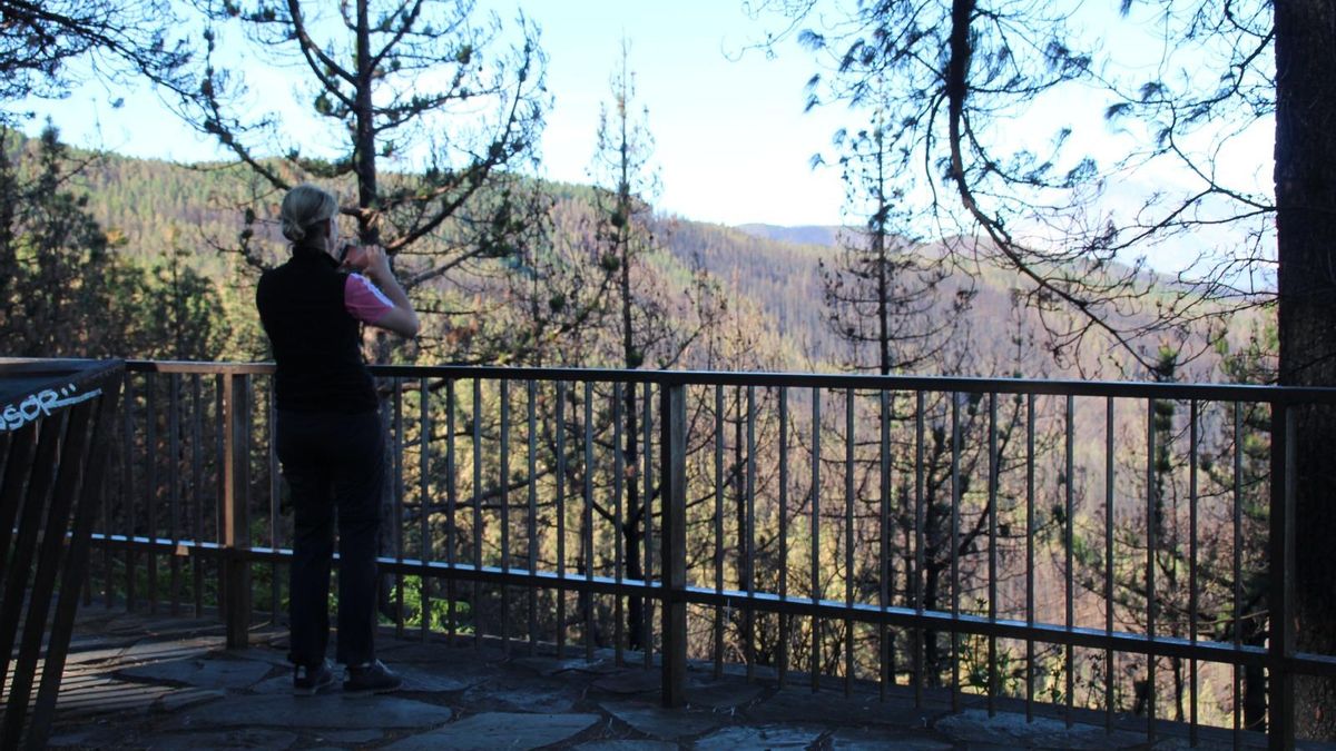 Una turista fotografía las vistas al Norte de Tenerife desde el mirador de Ortuño, en la parte del monte perteneciente al municipio de La Victoria de Acentejo, cerca de donde se está cortando pino californiano, con el Teide al fondo y amplias áreas quemadas en 2023