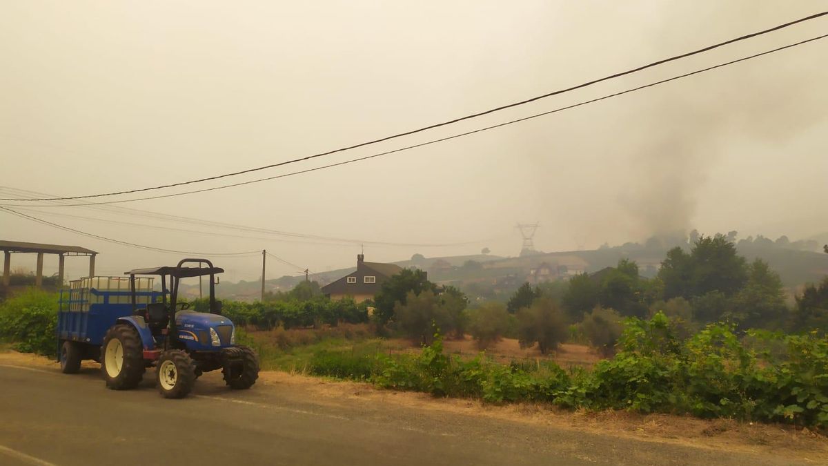 On the road that leads to Córgomo (Vilamartín de Valdeorras, Ourense), the neighbors are prepared with a tractor loaded with Auga. Below, they cut the trees so they don't turn on.