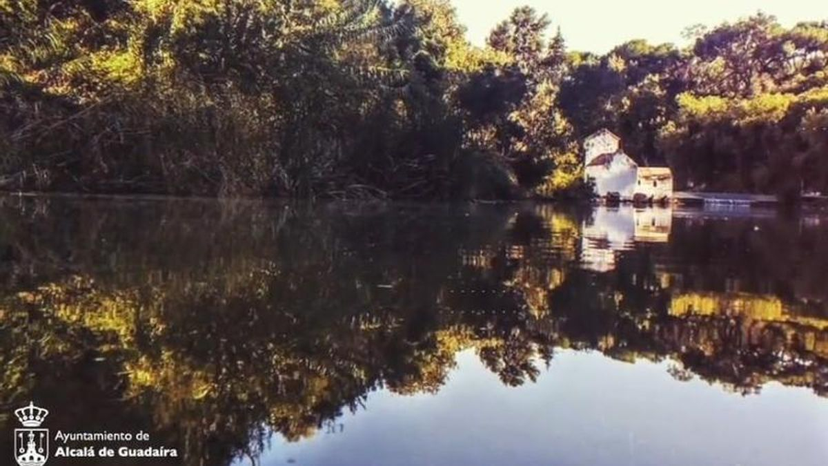 Alcalá, un lugar para respirar: naturaleza que forma parte de la ciudad