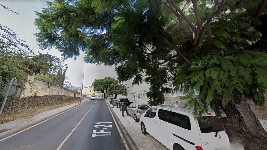 Uno de los tramos donde el Cabildo de Tenerife quiere talar algunos de los 11 ejemplares