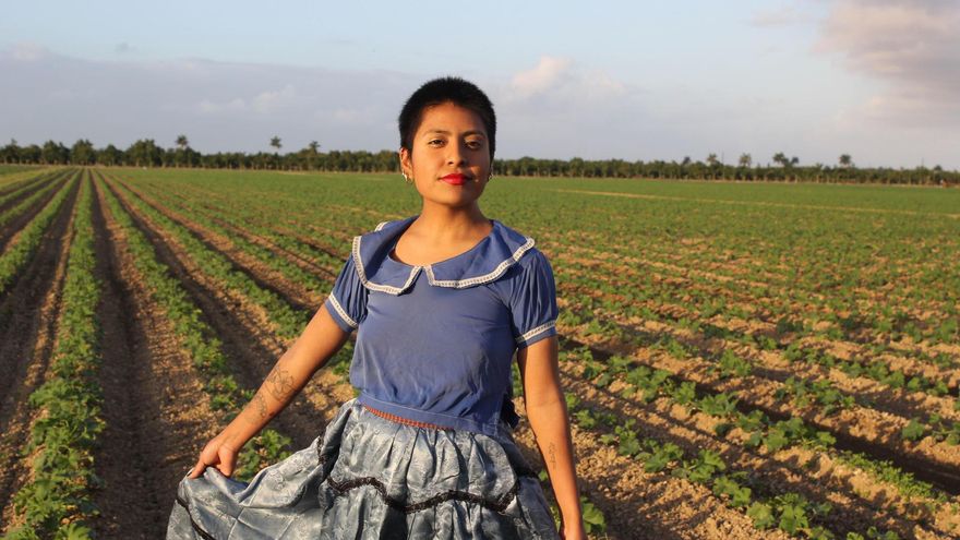 Arresto de beneficiaria de DACA enciende alertas sobre alcance de deportaciones de Trump