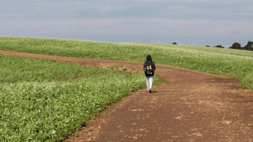 Los niños enfermos de la agricultura brasileña