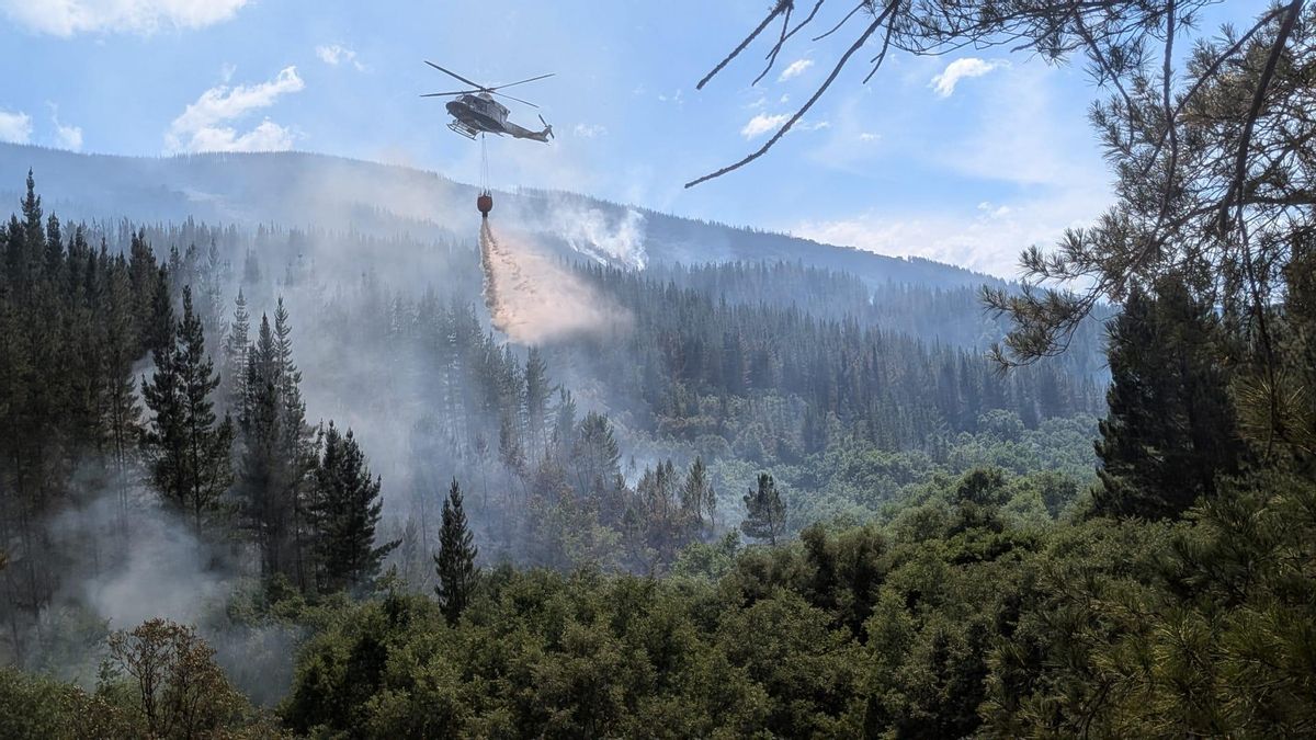 León arde otro verano sin que Diputación ni Junta cumplan con sus compromisos contra los incendios forestales a tiempo