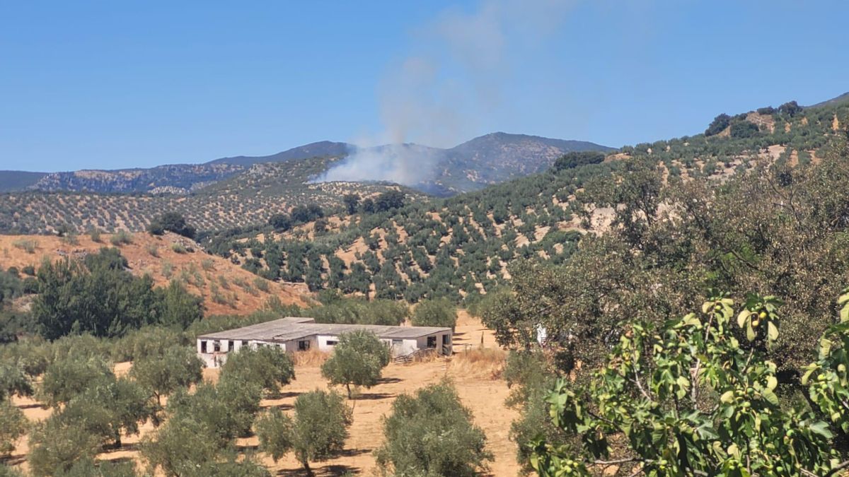 Imagen del incendio en Carcabuey.