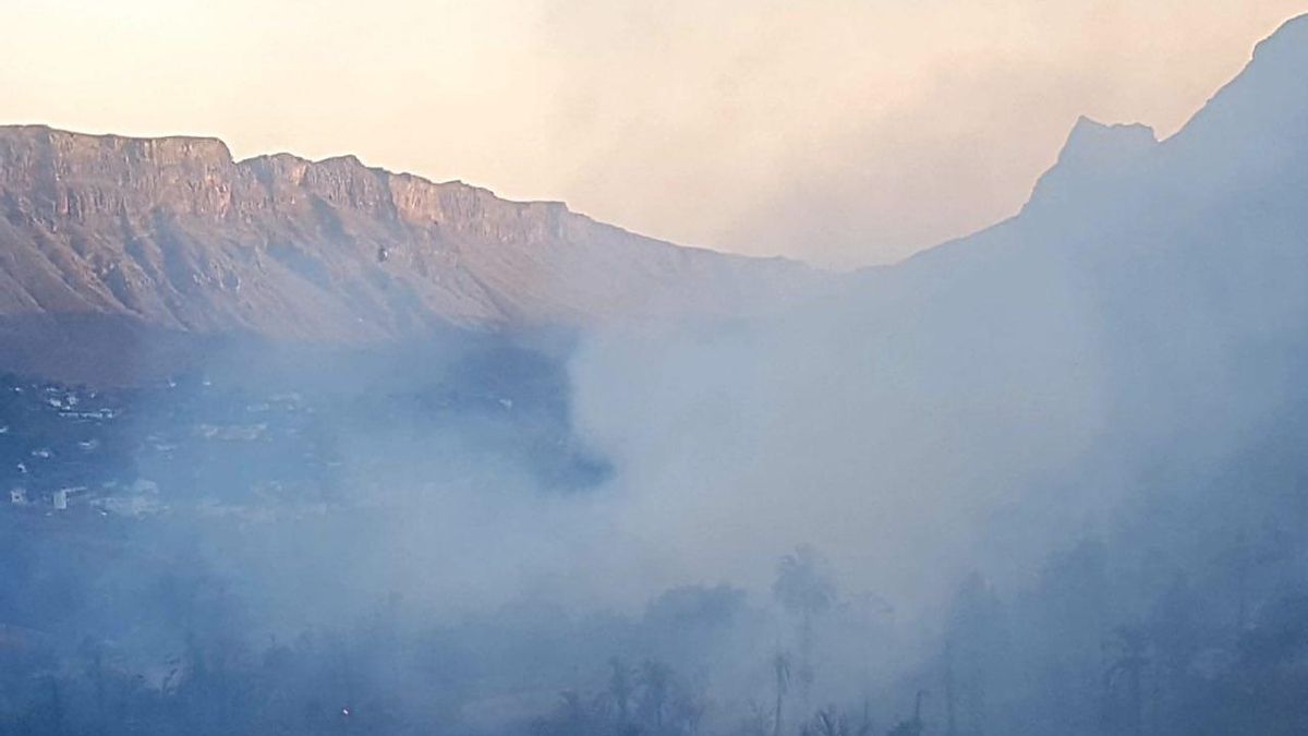 GALERÍA | El fuego calcina 35 hectáreas de palmeral en Fataga