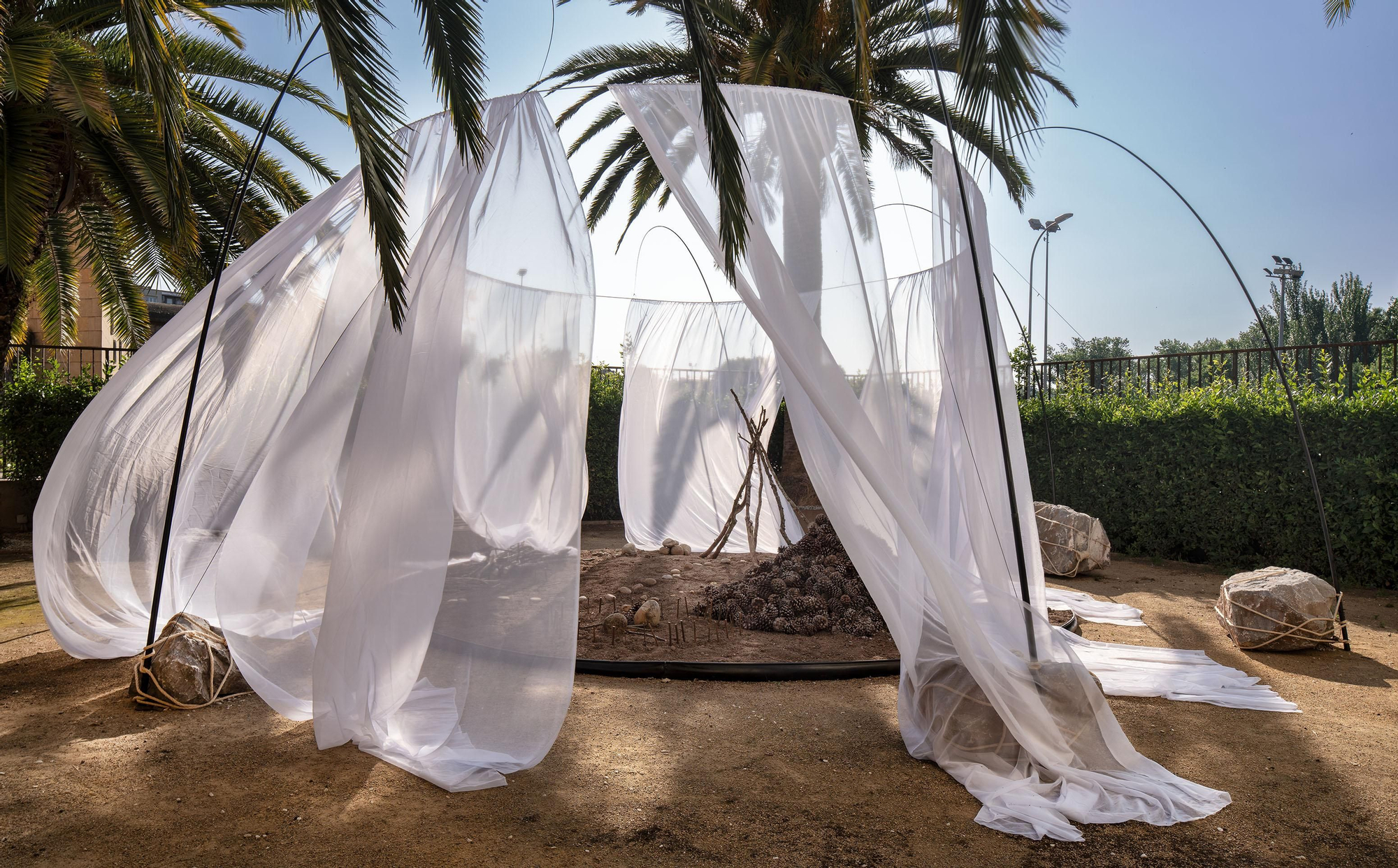 Criaturas Silvestres en el Patio del COAR