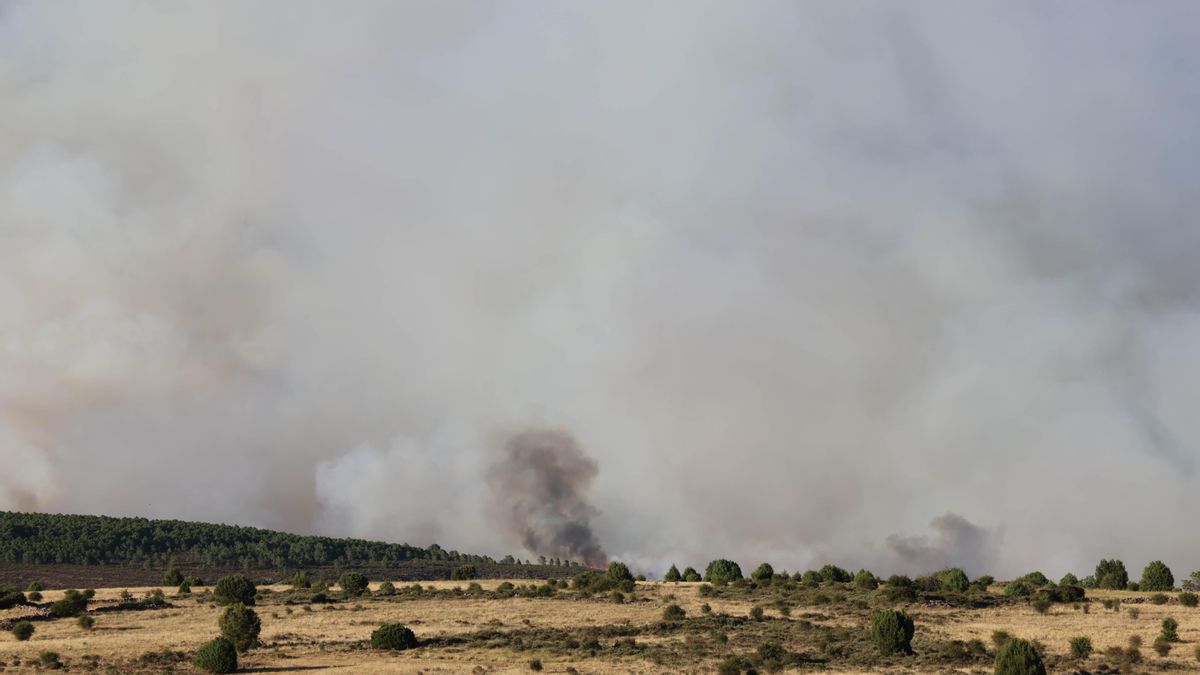 Tres poblaciones desalojadas y dos confinadas por el incendio de La Mierla que ha quemado más de 1.500 hectáreas