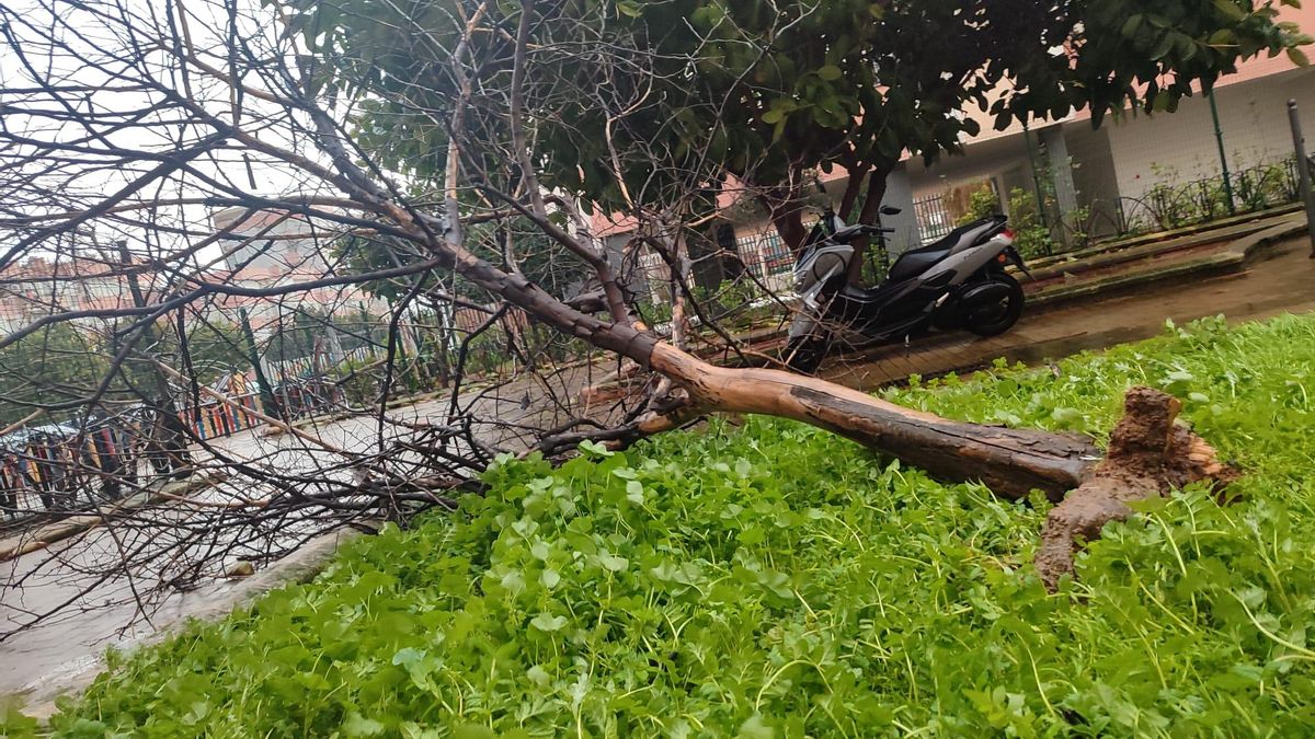 Efectos de la borrasca Kristin