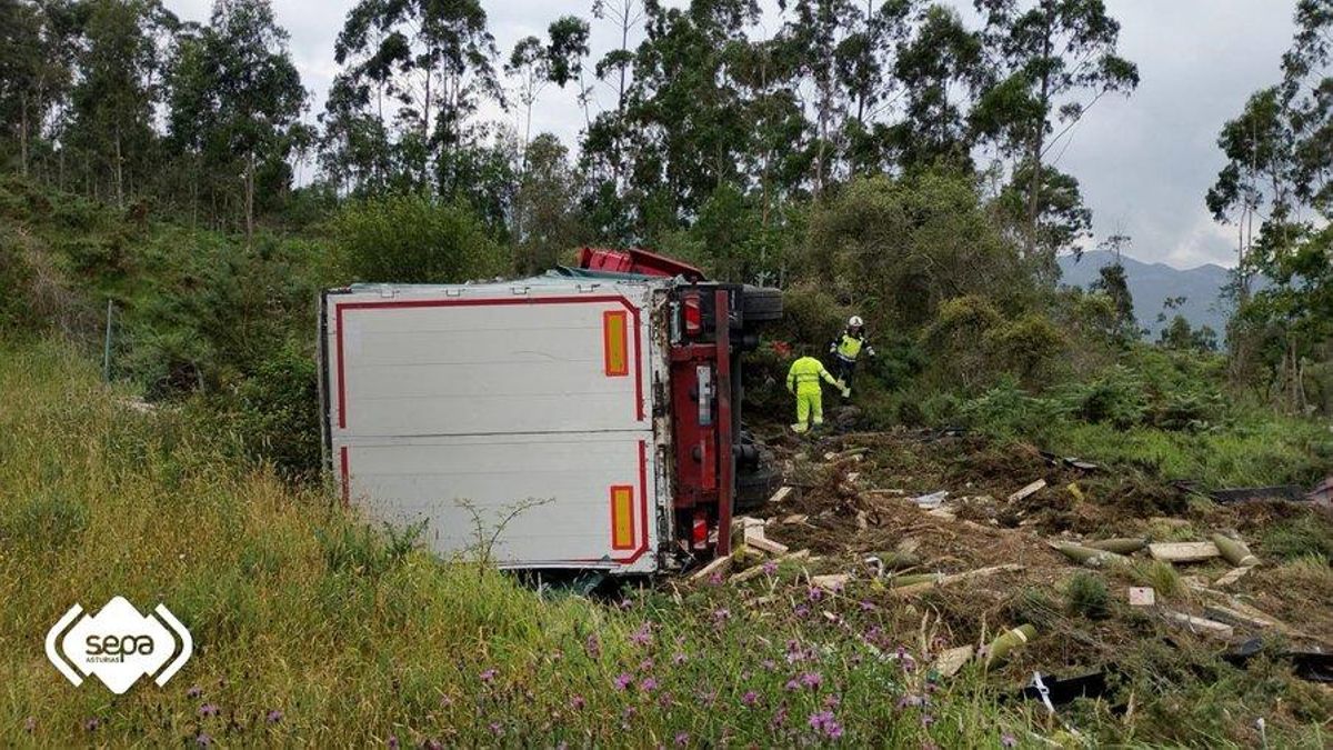 El vuelco del camión provocó heridas de carácter leve al conductor.
