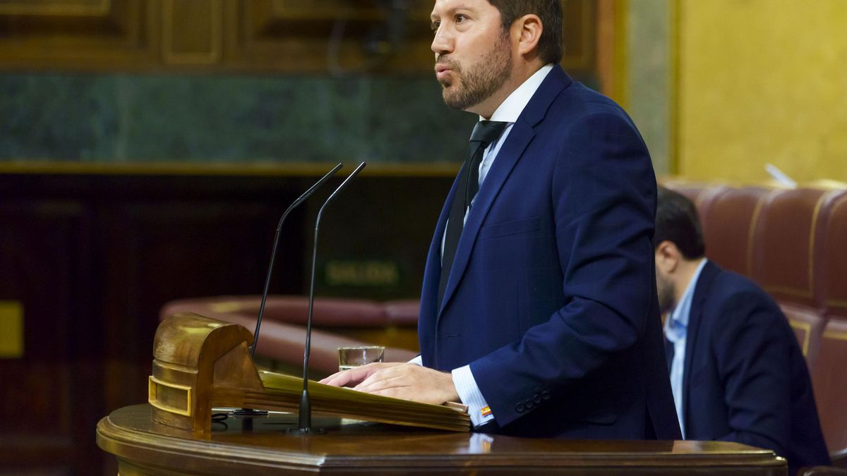 El ya exdiputado de Vox Carlos Hugo Fernández-Roca Suárez, en la tribuna del Congreso