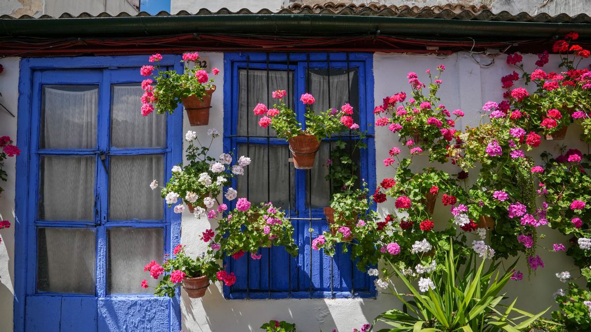 Marroquíes, 6, segundo premio en Patios Singulares en 2026