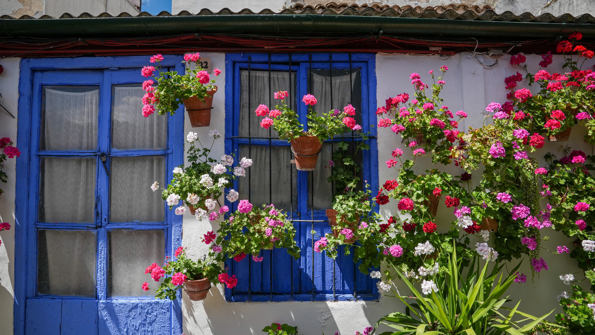Marroquíes, 6