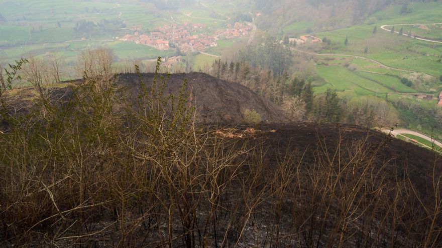 Cantabria reduce a tres los incendios forestales activos en Camaleño, Herrerías y Valdáliga