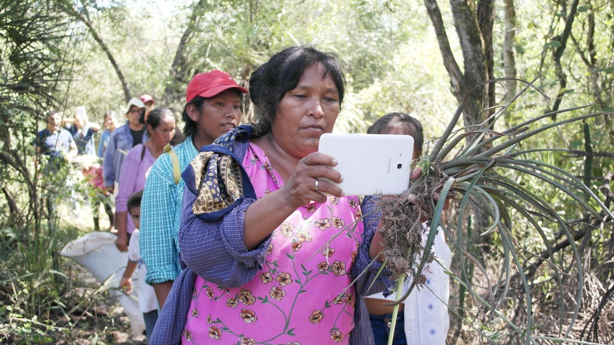 A través de mapas digitales, las mujeres chaqueñas identifican los lugares donde crece el chaguar, cada vez más escaso por las altas temperaturas. Esta fibra nativa es el insumo principal de sus artesanías y prendas. Foto: cortesía Fundación Gran Chaco