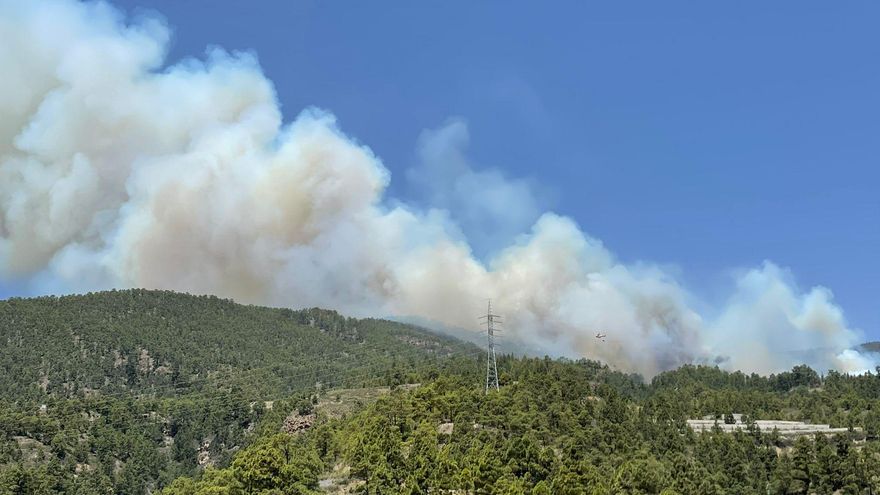 Declarado un incendio en los montes del sur de Tenerife que avanza impulsado por los fuertes vientos