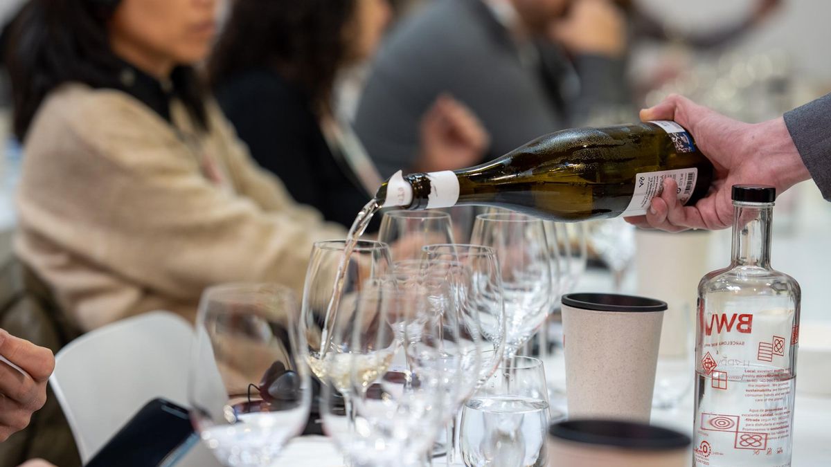 Instantes de la BWW 2024