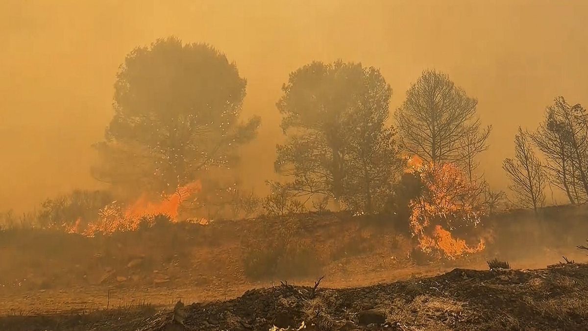 Un cóctel de calor extremo y negligencias desata una ola de incendios que arrasa miles de hectáreas