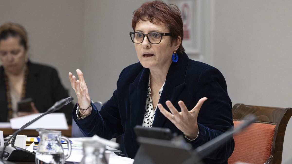 La consejera de Bienestar Social del Gobierno de Canarias, Candelaria Delgado. EFE/ Miguel Barreto