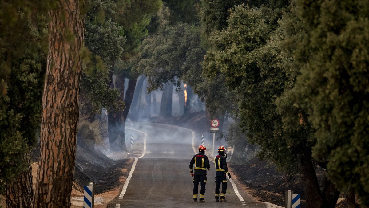 Dos bomberos trabajan en las labores de extinción del incendio, a 25 de julio de 2026, en San Martín de Valdeiglesias, Madrid