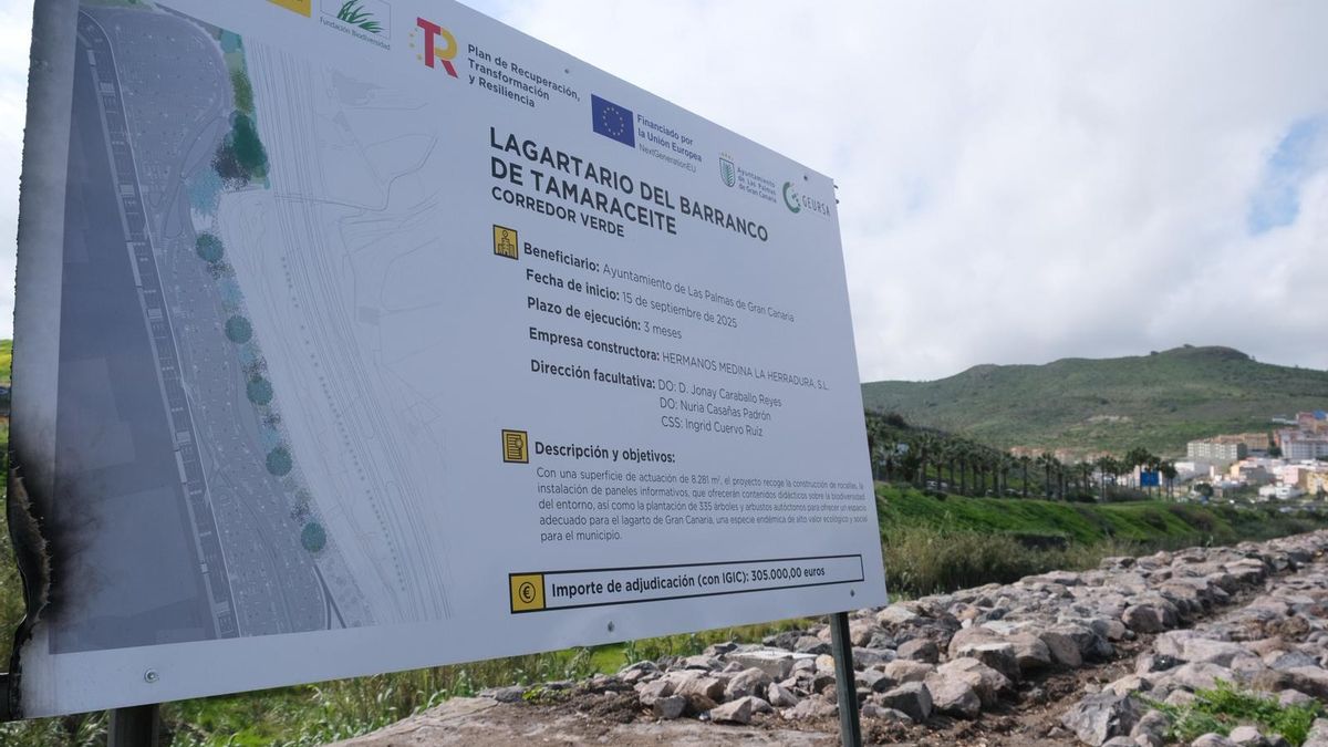 El Ayuntamiento de Las Palmas de Gran Canaria ultima los trabajos del Corredor Verde en Tamaraceite y Hoya Andrea